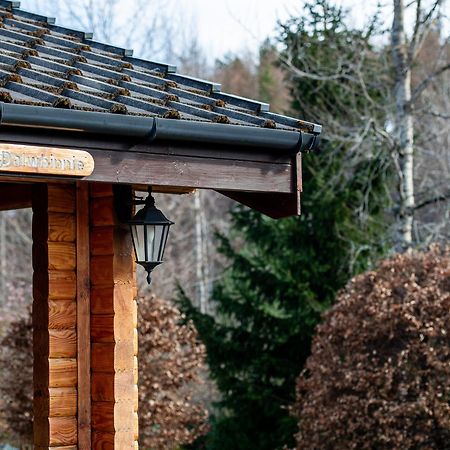 Loch Insh Chalets Ltd Kincraig Ngoại thất bức ảnh