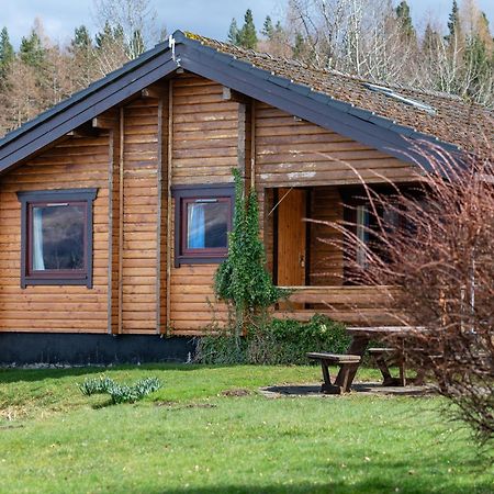 Loch Insh Chalets Ltd Kincraig Ngoại thất bức ảnh