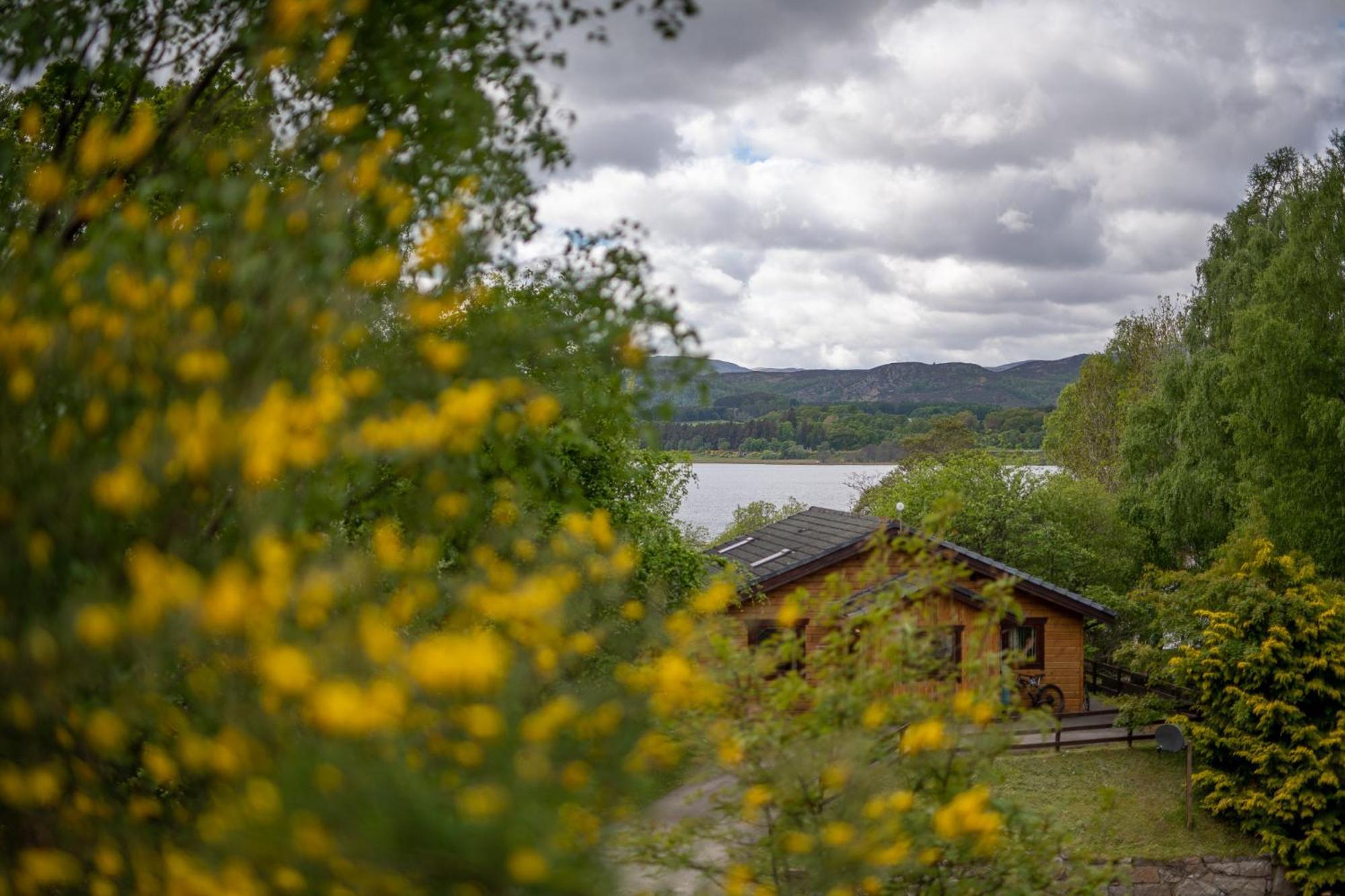 Loch Insh Chalets Ltd Kincraig Ngoại thất bức ảnh